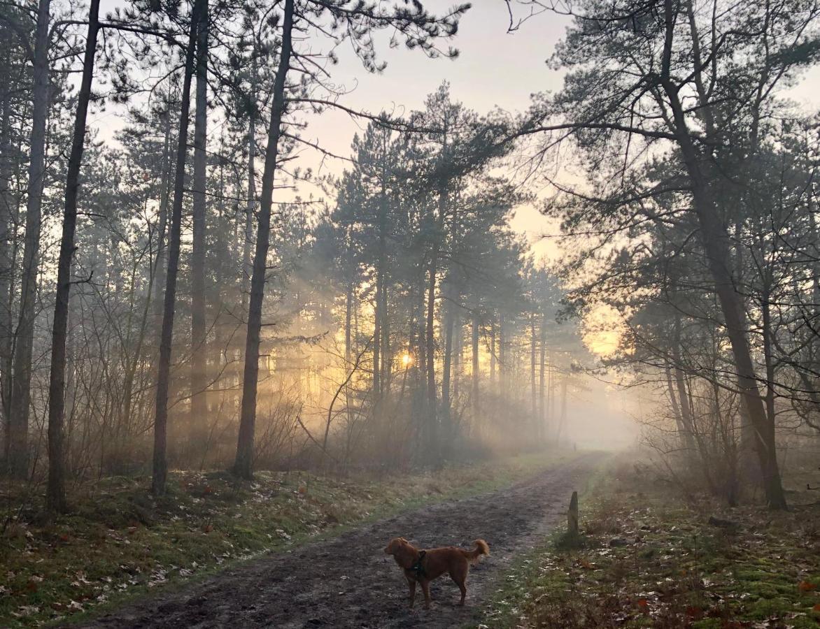 Het Natuurhuisje Op De Veluwe Nunspeet Exterior photo