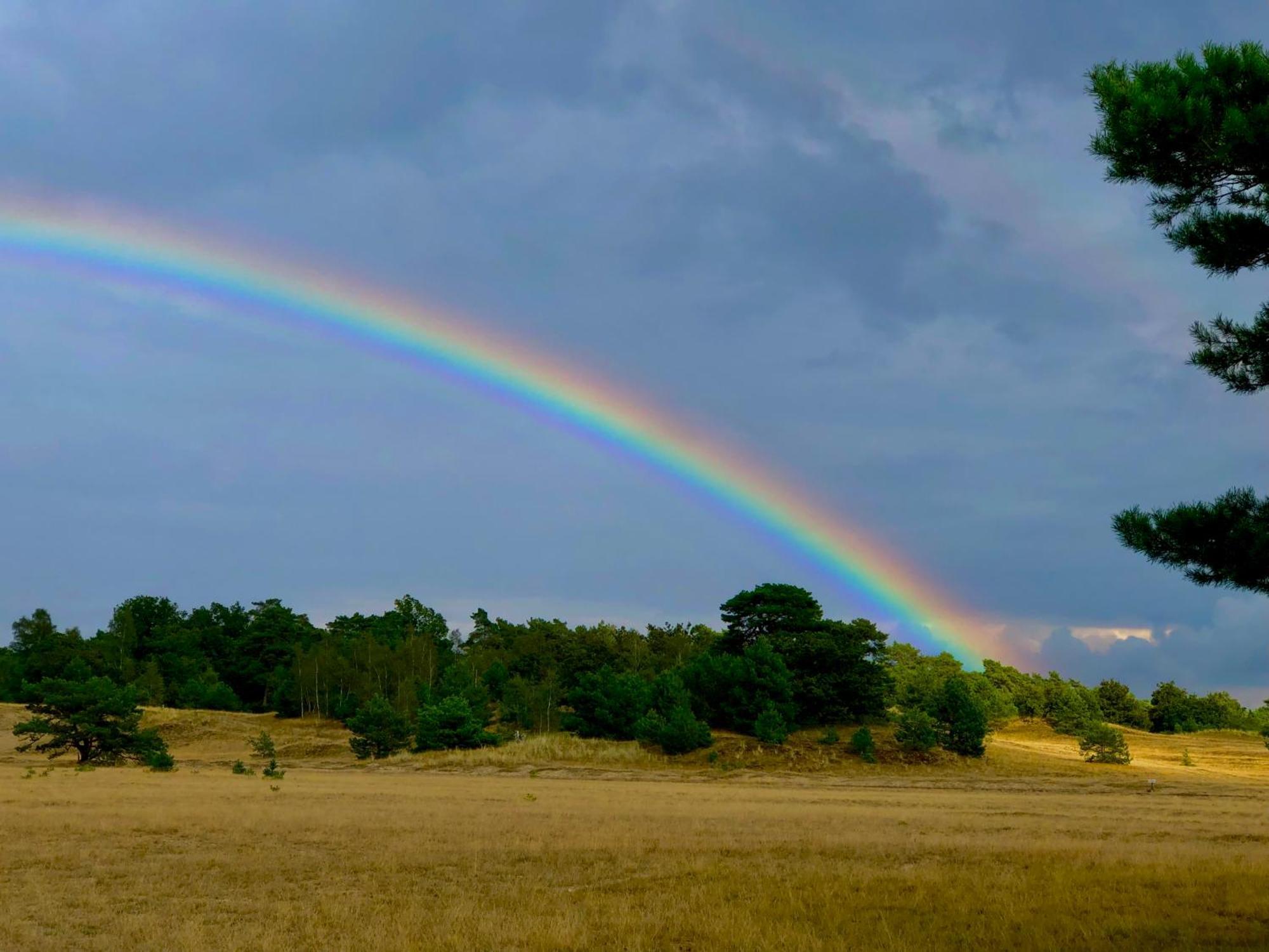 Het Natuurhuisje Op De Veluwe Nunspeet Exterior photo