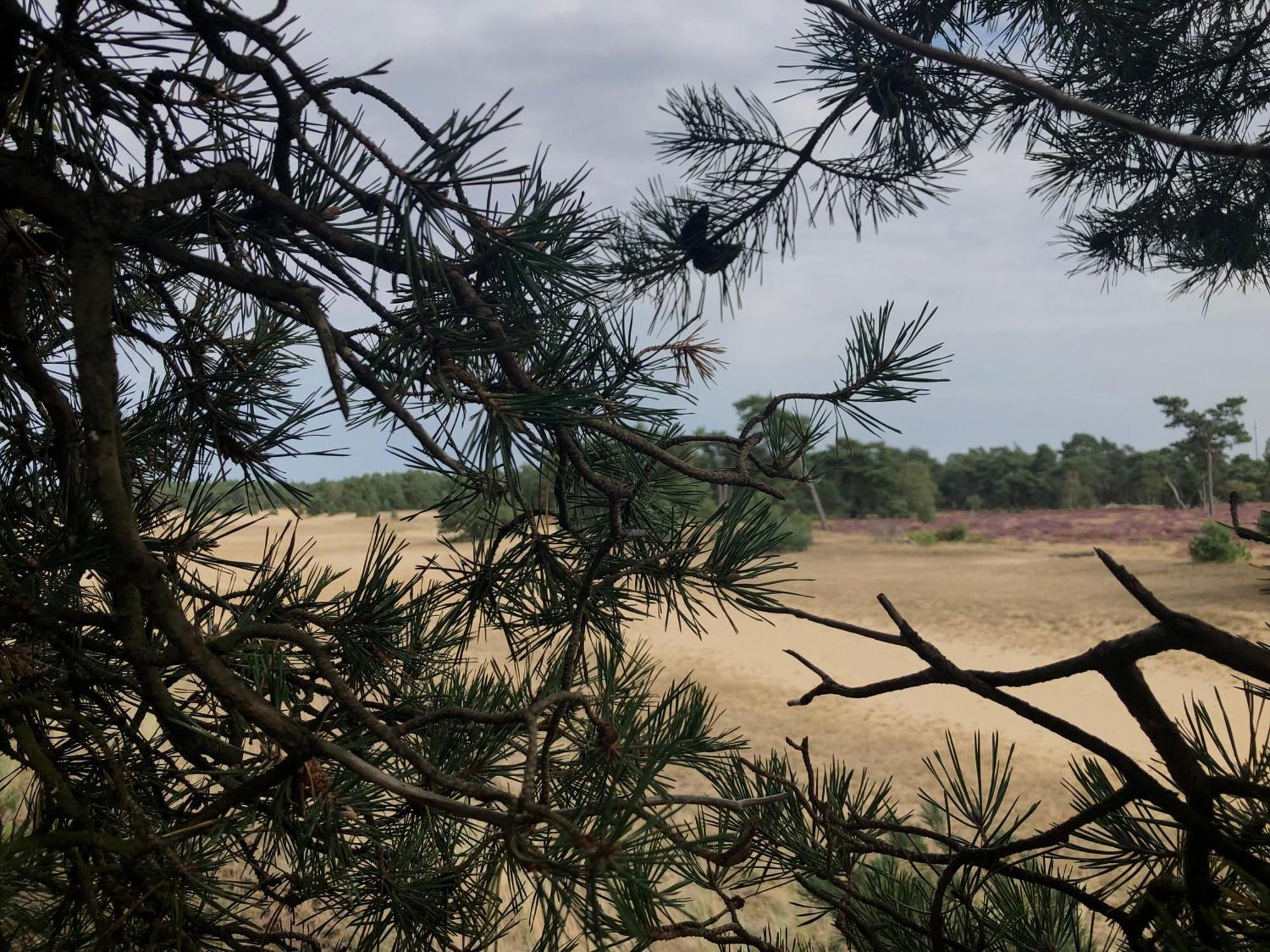 Het Natuurhuisje Op De Veluwe Nunspeet Exterior photo